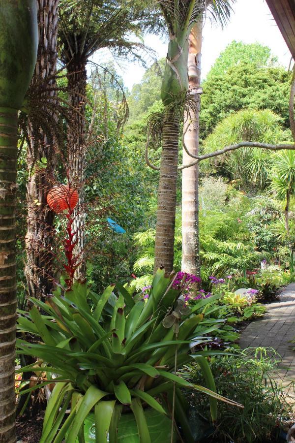 Waimoana Garden Accommodation Whangarei Exteriör bild
