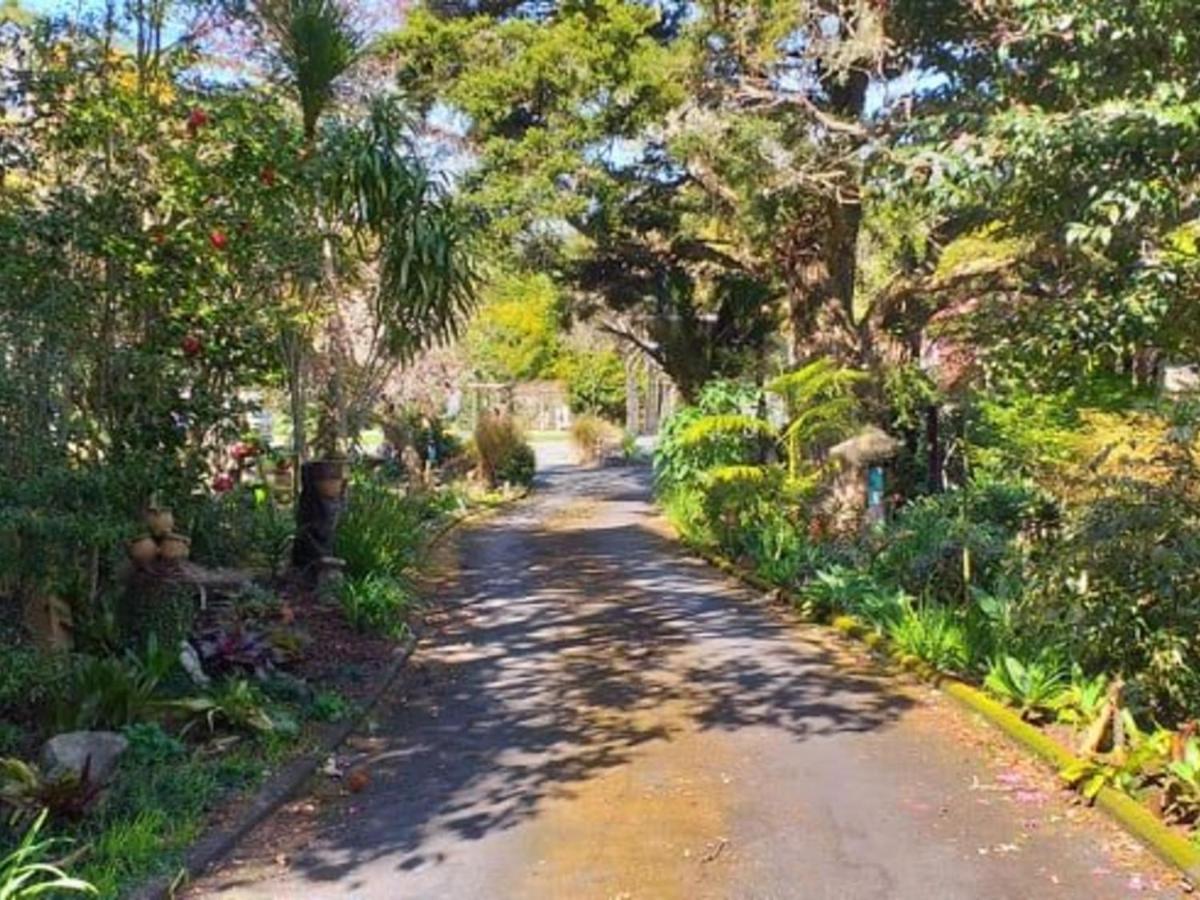 Waimoana Garden Accommodation Whangarei Exteriör bild